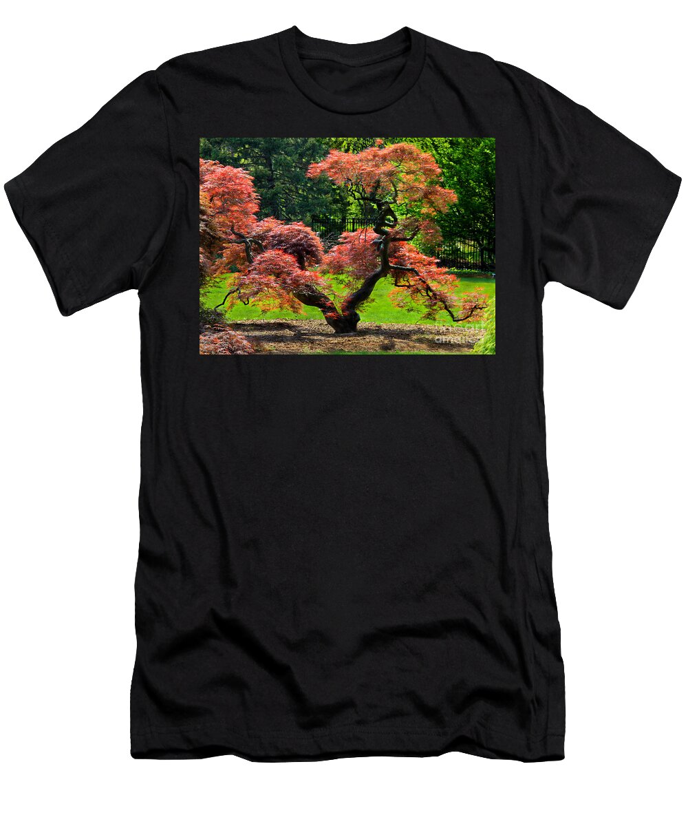 Tree T-Shirt featuring the photograph Red Maple Tree by Roger Becker