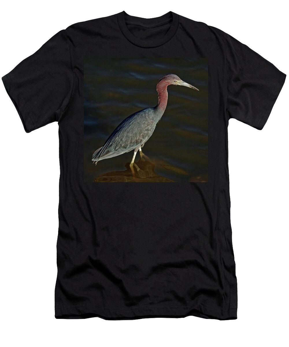 Wildlife T-Shirt featuring the photograph Reddish Egret Wading #1 by Marvin Reinhart