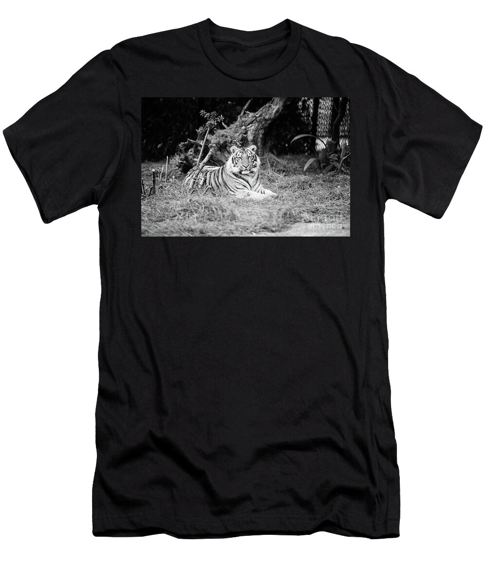 Mike T-Shirt featuring the photograph Regal Mike - BW by Scott Pellegrin