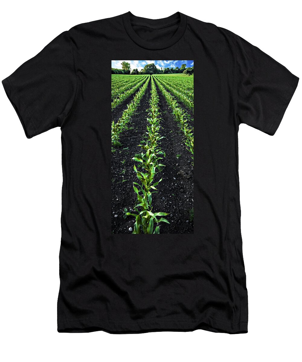 Corn T-Shirt featuring the photograph Regiment by Meirion Matthias