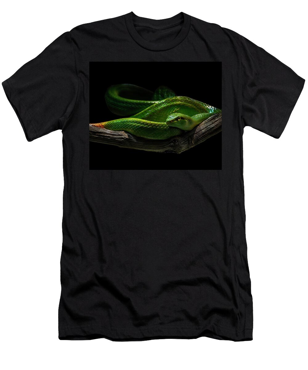 T-Shirt featuring the photograph Rein Snake by Joachim G Pinkawa