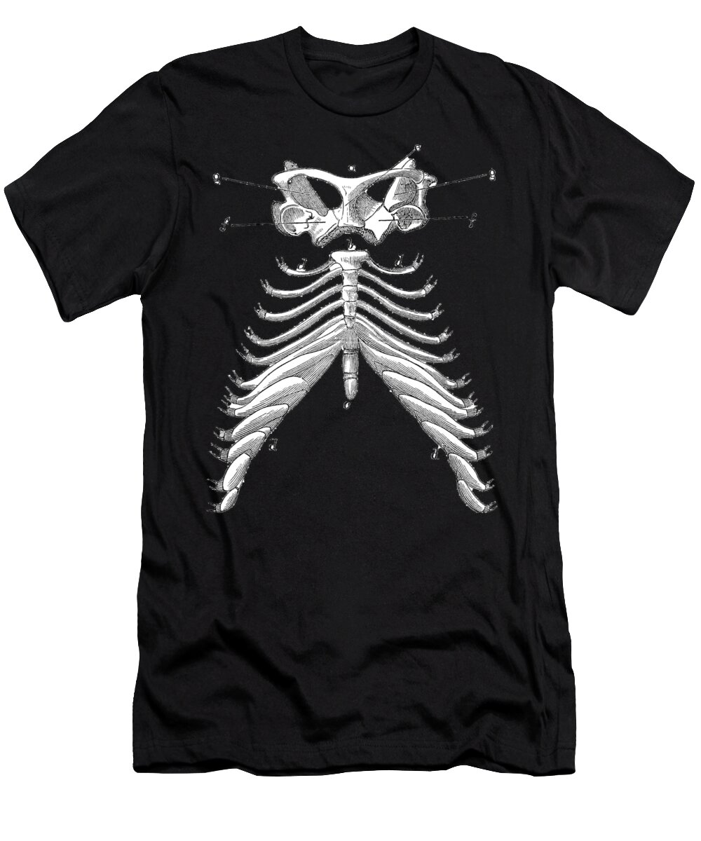 Vintage T-Shirt featuring the digital art Rib Cage Tee by Edward Fielding