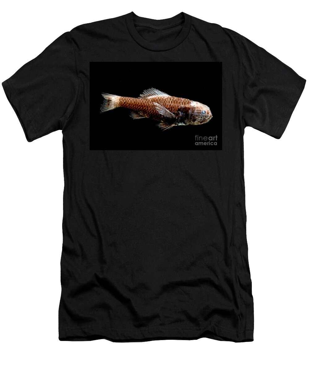 Ridgehead T-Shirt featuring the photograph Ridgehead Fish by Dant Fenolio