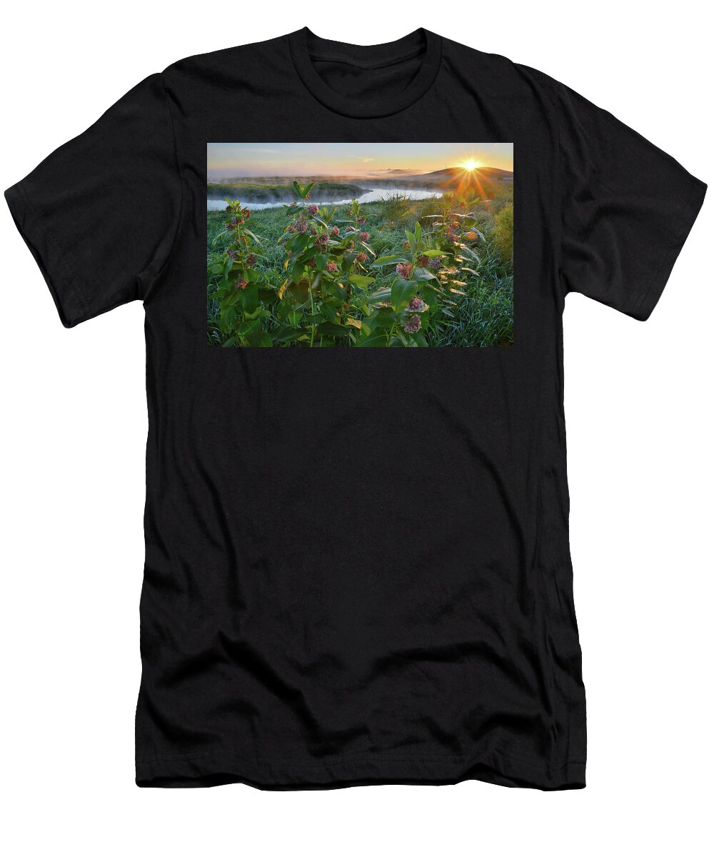 Glacial Park T-Shirt featuring the photograph Rising Sun Backlights Milkweed along Nippersink Creek in Glacial Park by Ray Mathis