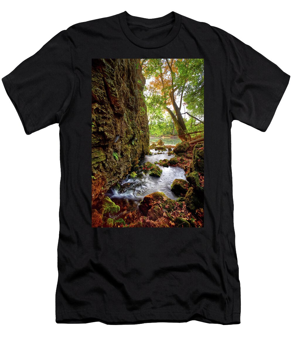 River T-Shirt featuring the photograph Roaring Spring by Robert Charity