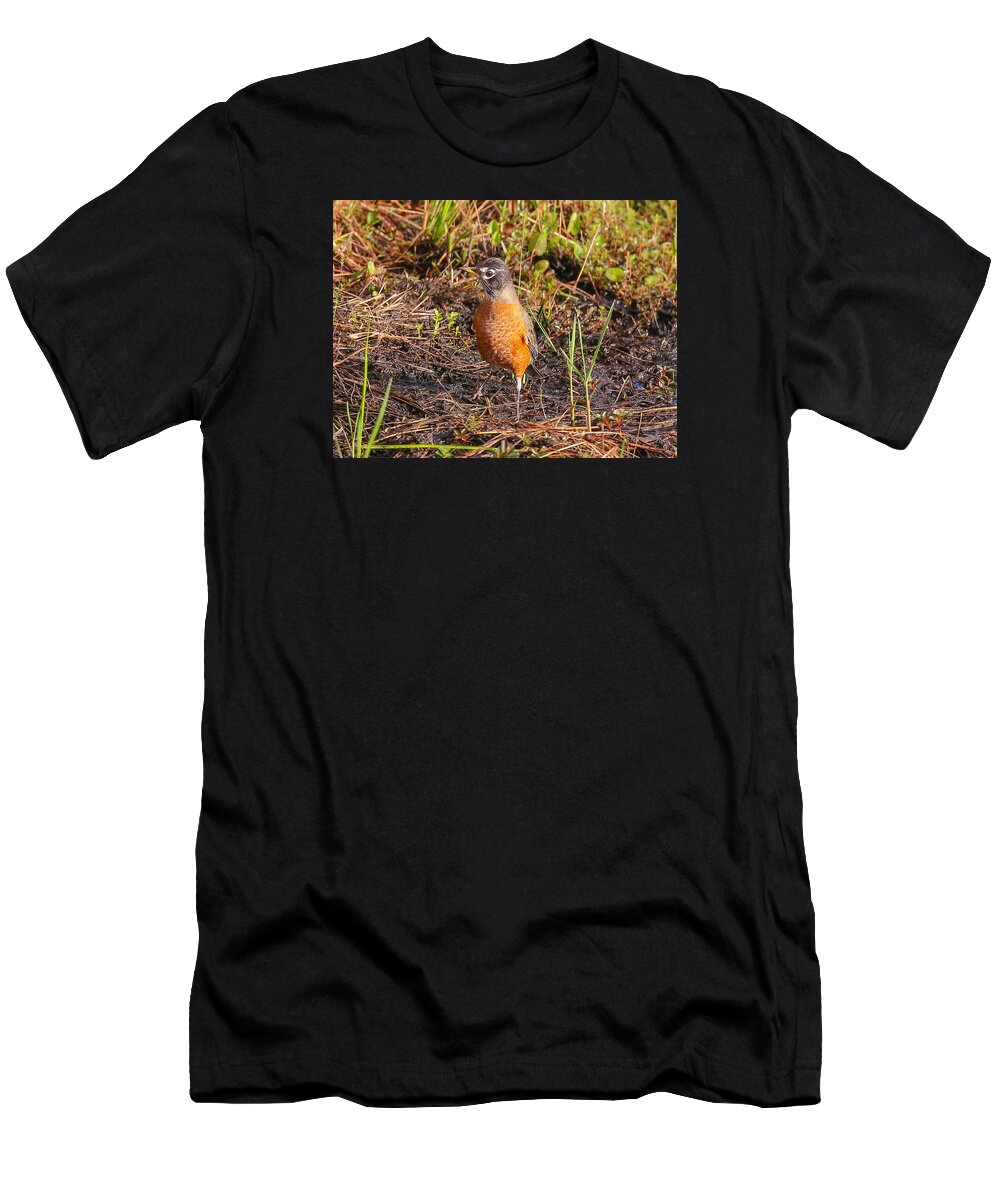 Robin T-Shirt featuring the photograph Robin by Dart Humeston