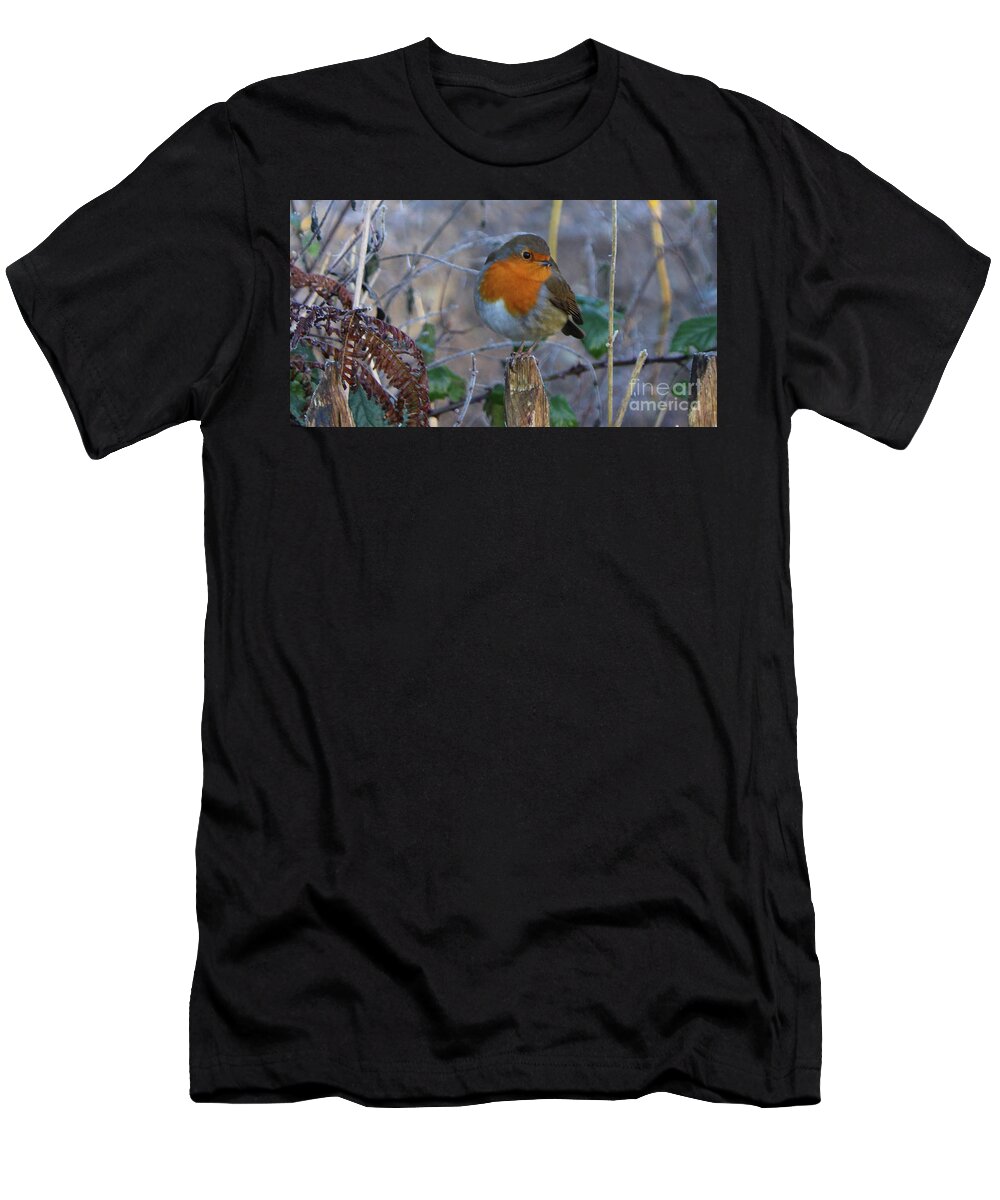 Bird T-Shirt featuring the photograph Robin by Eddie Barron