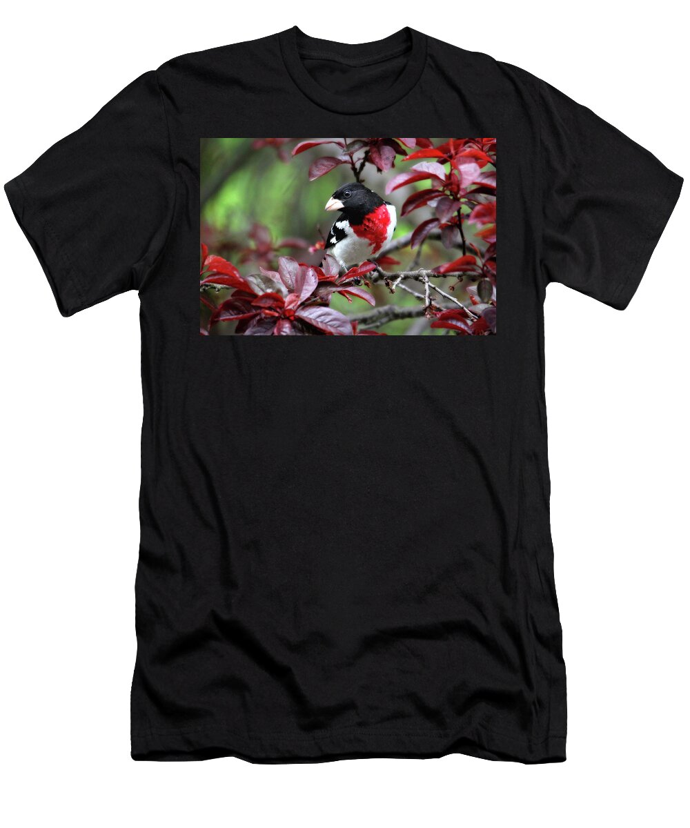 Birds T-Shirt featuring the photograph Rose-Breasted Grosbeak by Trina Ansel
