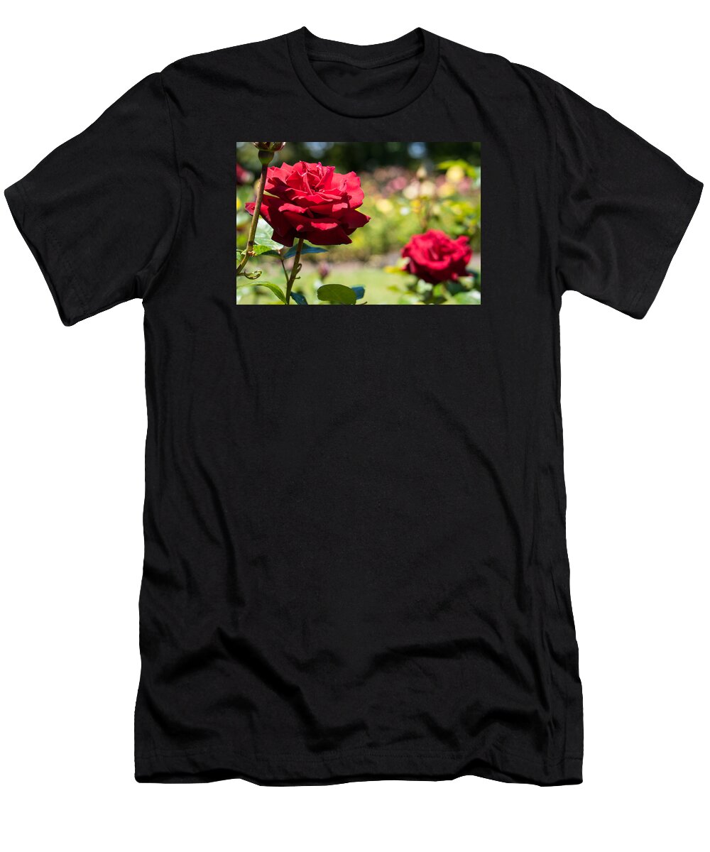 Rose T-Shirt featuring the photograph Rose by Richie White