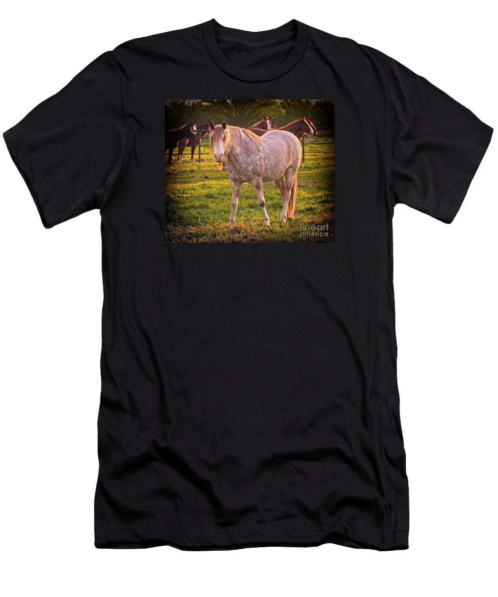 Horse Pictures T-Shirt featuring the photograph Rough Stock Dawn by Gus McCrea