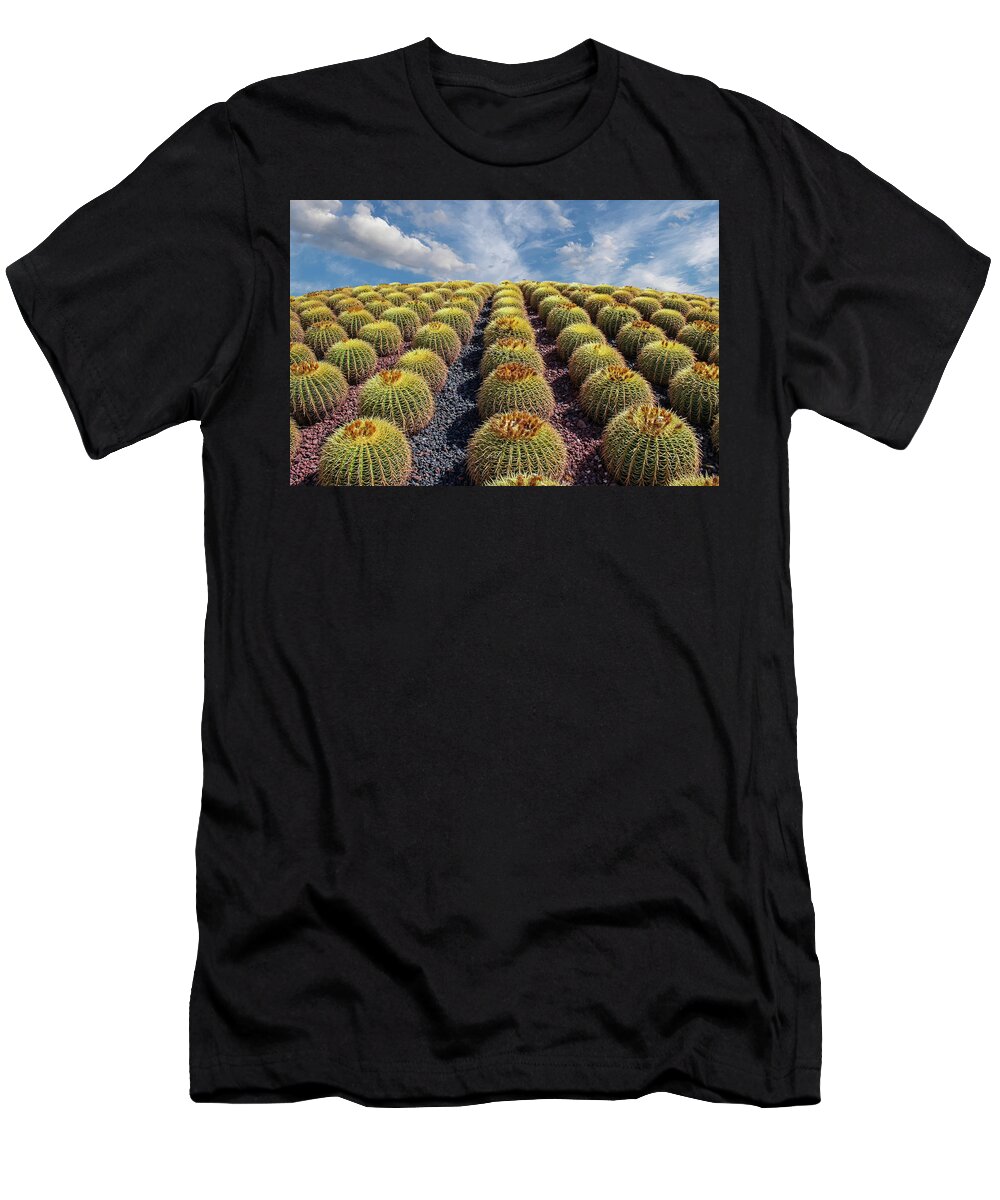 Arizona T-Shirt featuring the photograph Rows of Cacti up Hill.jpg by Darryl Brooks