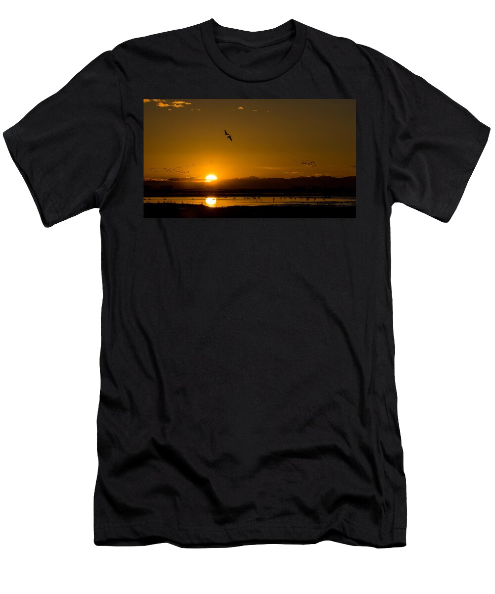 Sandhill Crane T-Shirt featuring the photograph Sandhill Crane sunrise by Stephen Holst
