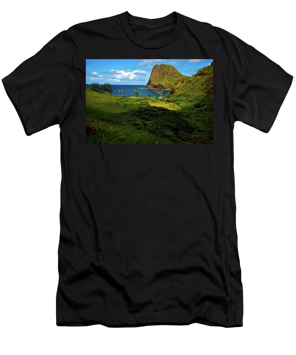 Ocean T-Shirt featuring the photograph Secret Cove by Harry Spitz