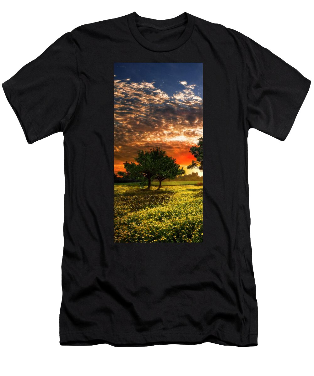 Barn T-Shirt featuring the photograph Shadows in the Meadow Left of the Triple by Debra and Dave Vanderlaan
