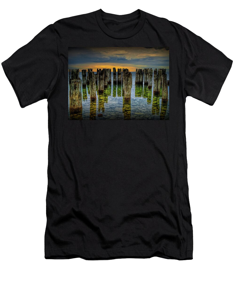 Art T-Shirt featuring the photograph Shore Pilings at Sunset by Fayette State Park by Randall Nyhof