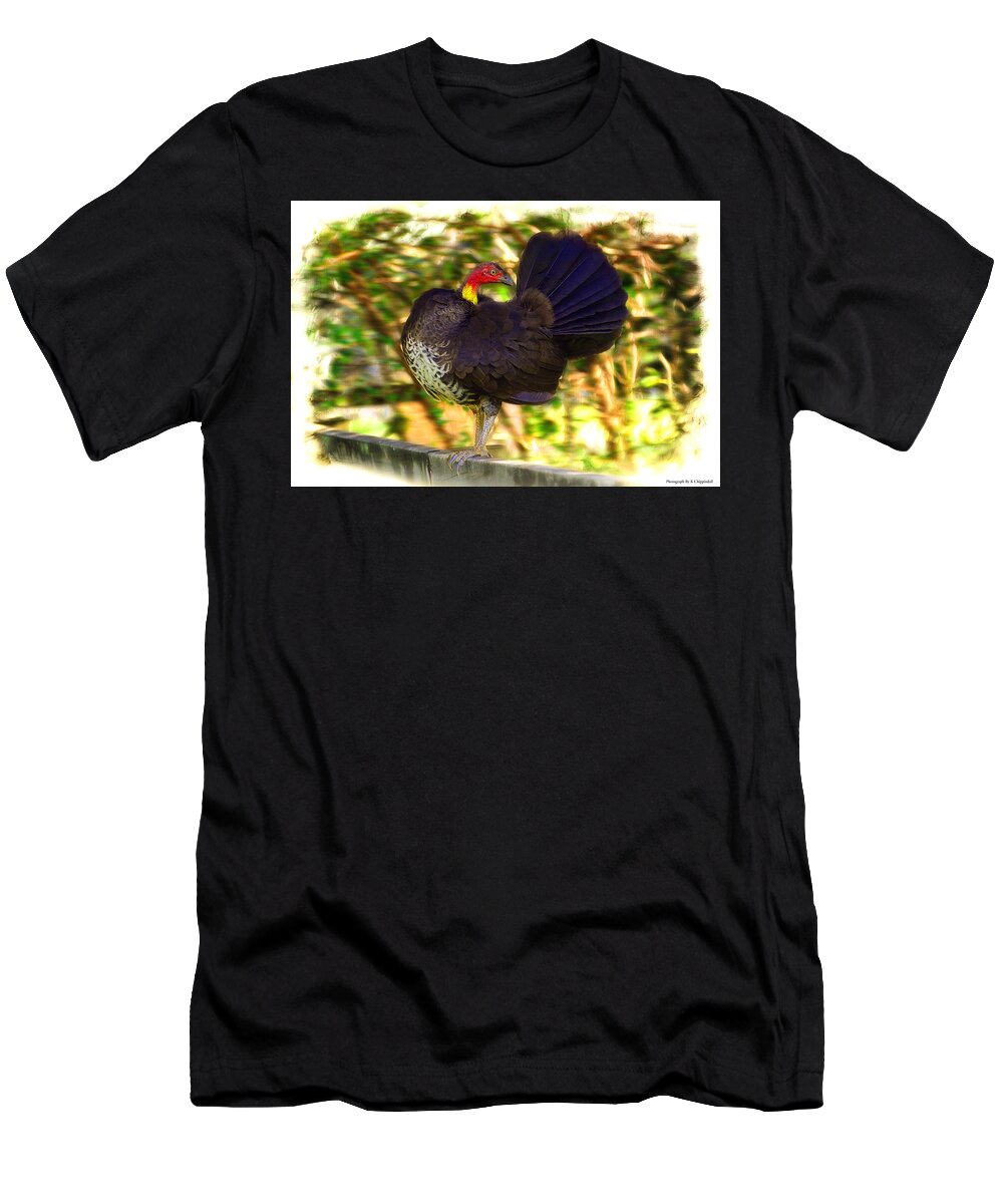Wild Turkey T-Shirt featuring the photograph Show off 01 by Kevin Chippindall