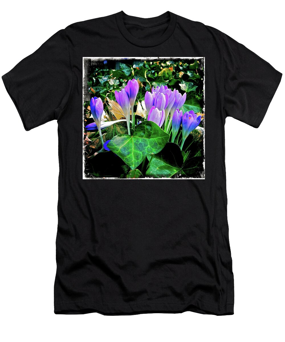 Crocus T-Shirt featuring the photograph Signs of Spring I by Kevyn Bashore