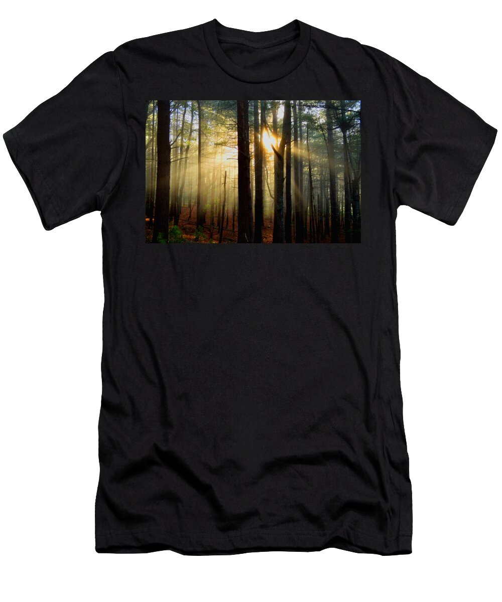 Sun Rays T-Shirt featuring the photograph Silence is Golden by Dianne Cowen Cape Cod Photography