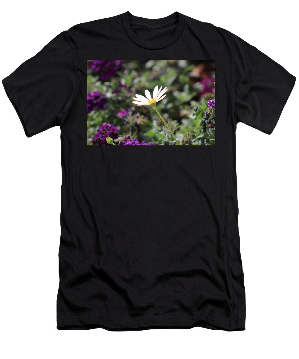 California Desert T-Shirt featuring the photograph Single White Daisy on Purple by Colleen Cornelius