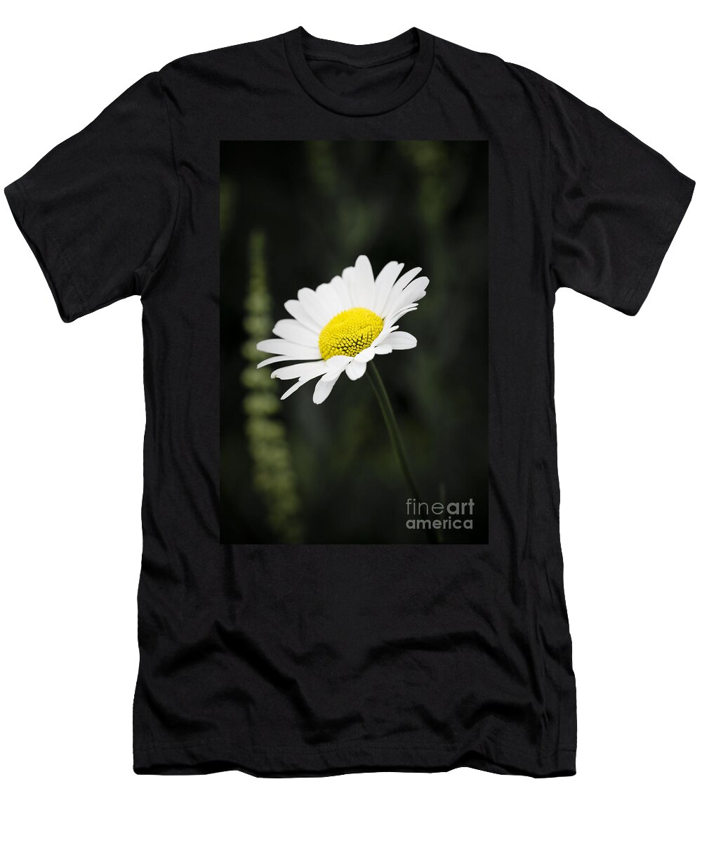 Flower T-Shirt featuring the photograph Single wild daisy by Simon Bratt