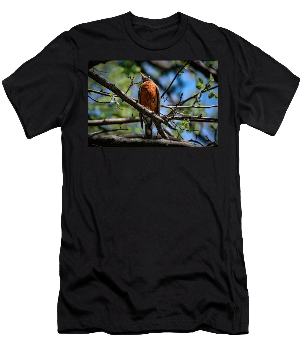 American Robin T-Shirt featuring the photograph Sir Robin by Ray Congrove