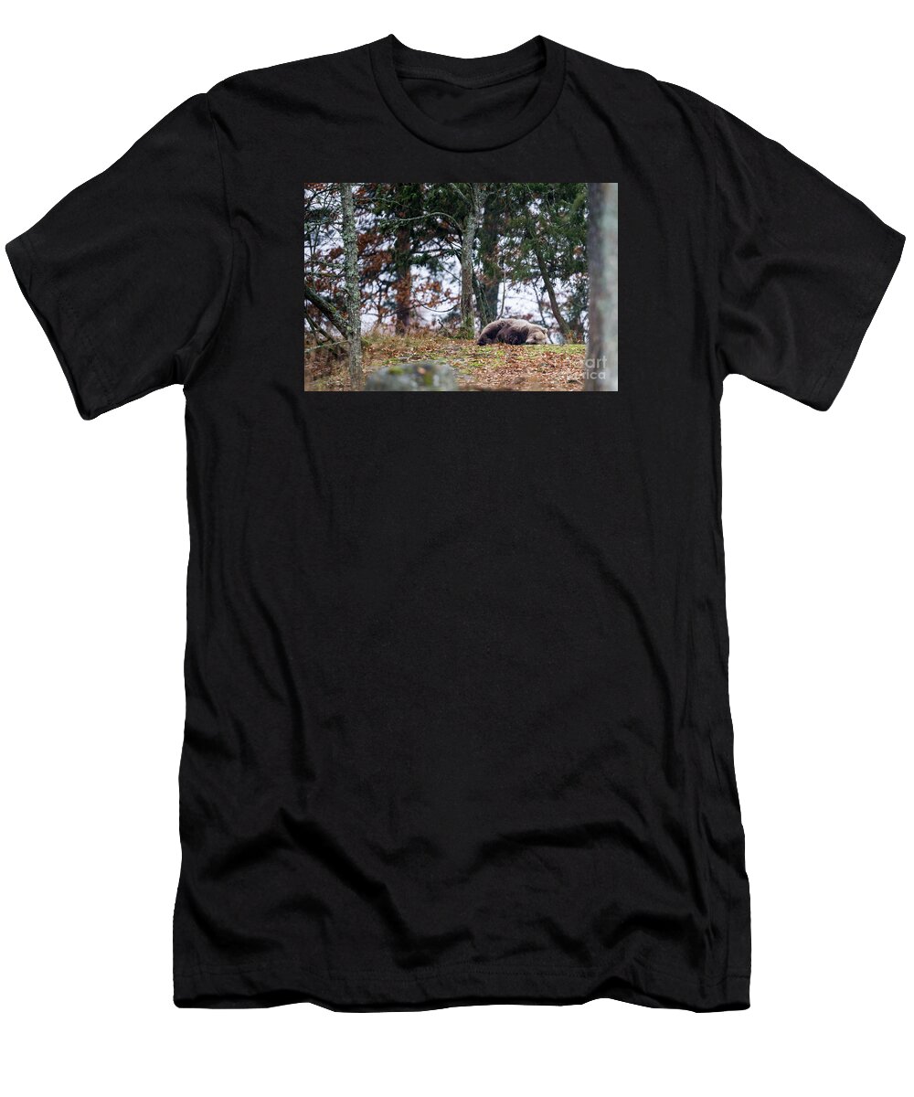 Bear T-Shirt featuring the photograph Sleeping Bear by Torbjorn Swenelius