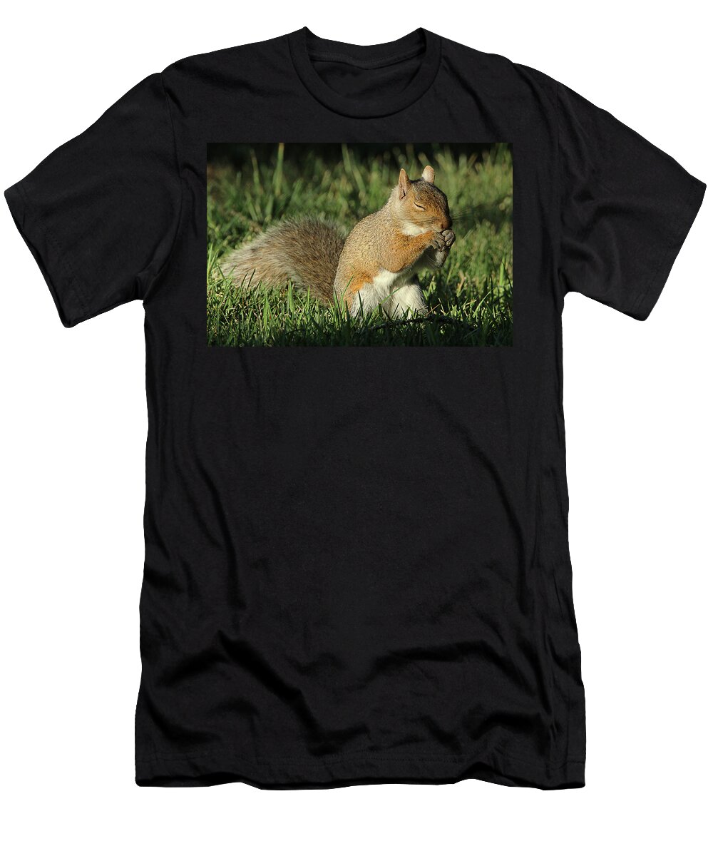 Squirrel T-Shirt featuring the photograph Sleepy by David Stasiak