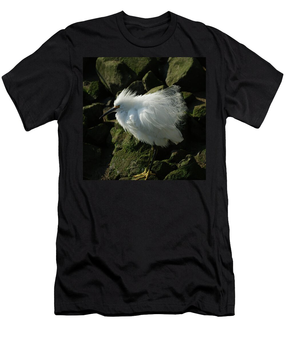Animals T-Shirt featuring the photograph Snowy Egret Fluffy by Ernest Echols