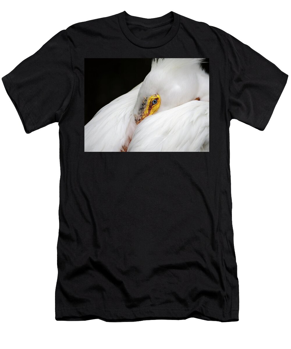 Beak T-Shirt featuring the photograph Snuggled White Pelican by Penny Lisowski
