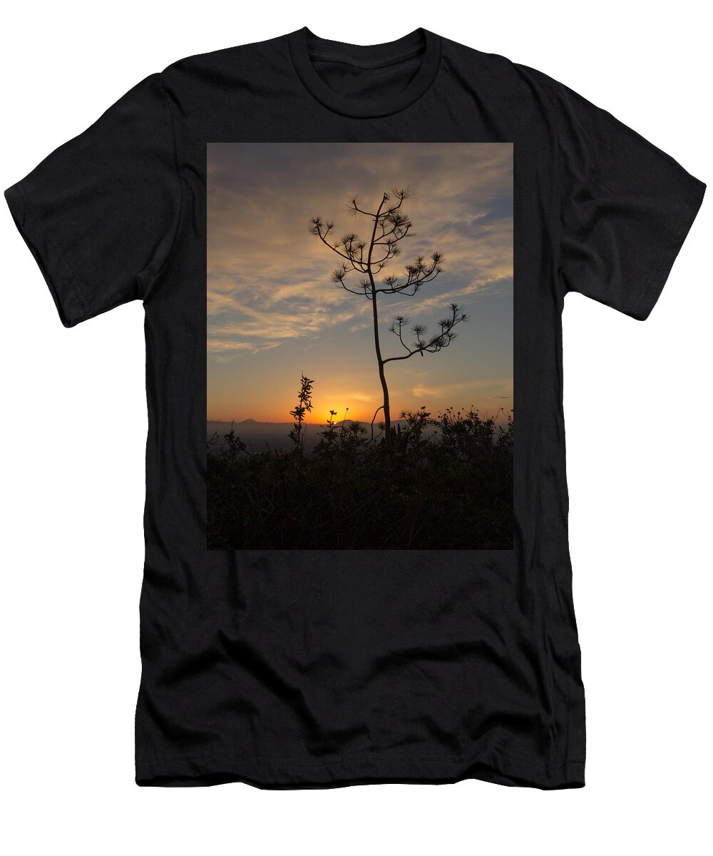 Soledad T-Shirt featuring the photograph Solitude At Solidad by Jeremy McKay