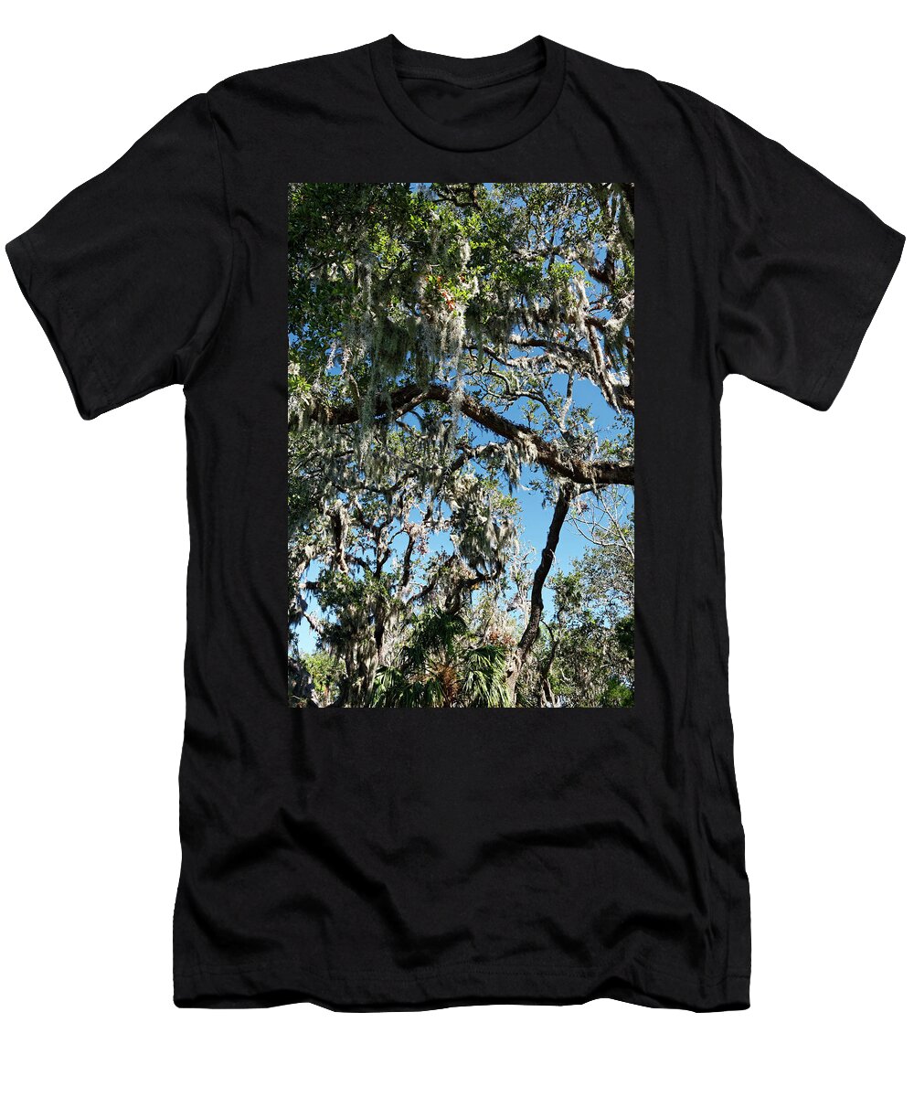 Spanish Moss On Trees T-Shirt featuring the photograph Spanish Moss on Trees by Sally Weigand