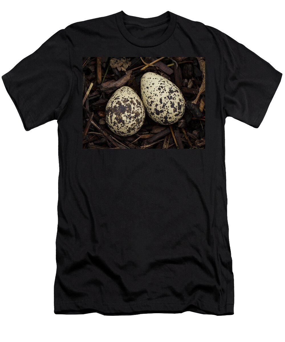 Jean Noren T-Shirt featuring the photograph Speckled Killdeer Eggs by Jean Noren by Jean Noren