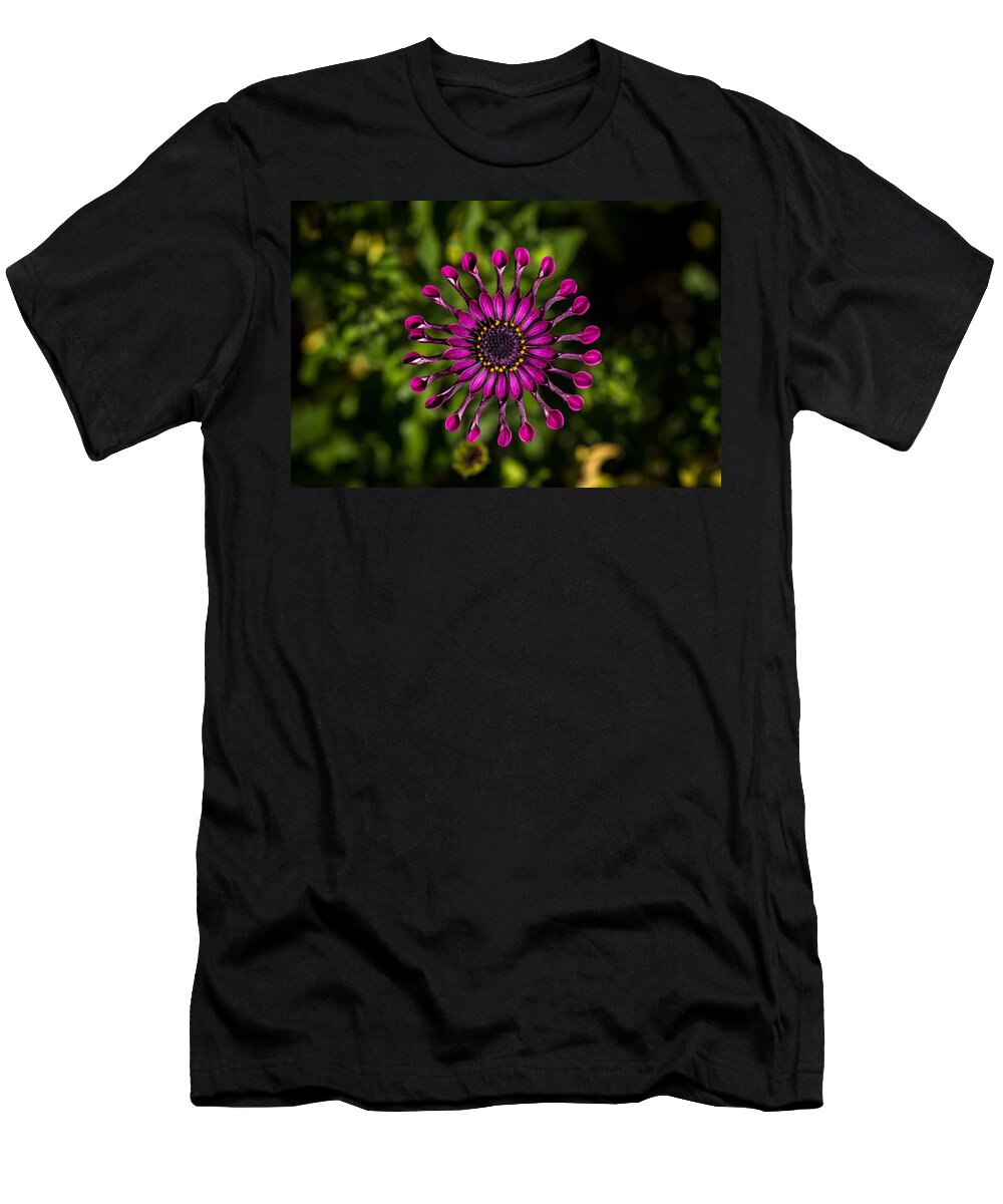 Astra-purple-spoon T-Shirt featuring the photograph Spoon Petal Osteospermum center by Shawn Jeffries