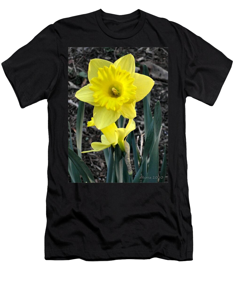 Daffodil T-Shirt featuring the photograph Spring Daffodil by Tonie Cook
