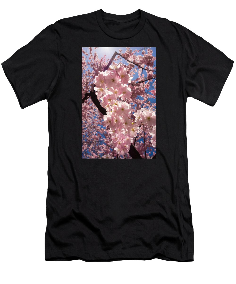 Pink T-Shirt featuring the photograph Spring galore - pink cherry blossoms by Matthias Hauser