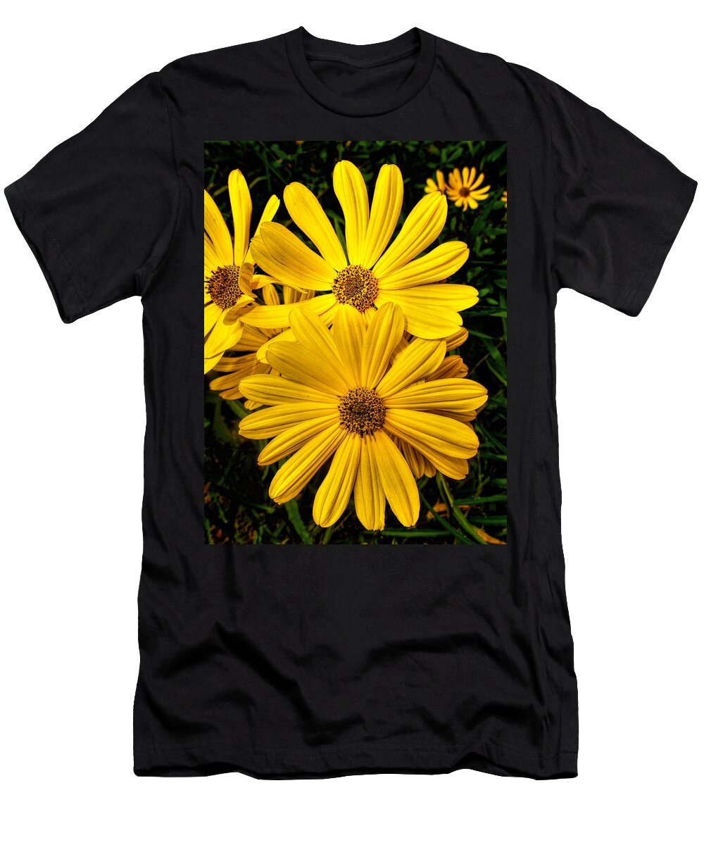 Fine Art Prints T-Shirt featuring the photograph Spring Has Come to Georgia by Dave Bosse