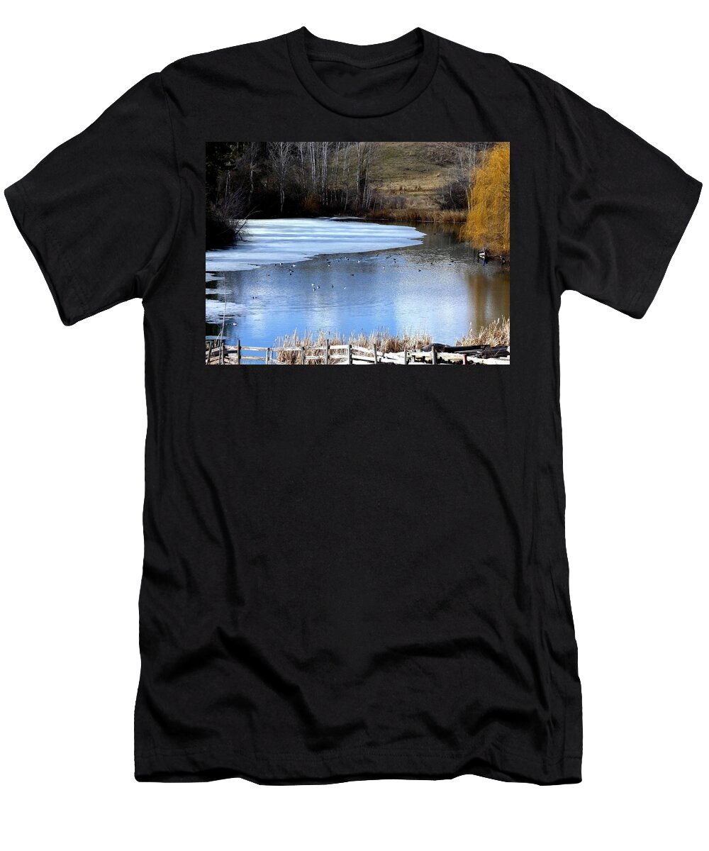 Pond T-Shirt featuring the photograph Spring Pond by Will Borden
