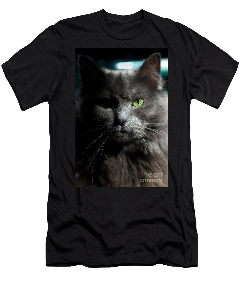 Cat T-Shirt featuring the photograph Stare Down by Joann Vitali