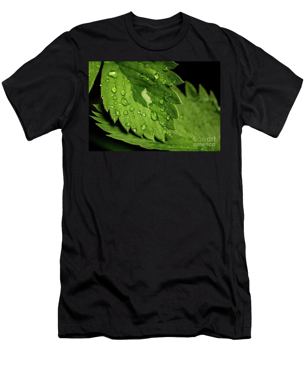  T-Shirt featuring the photograph Strawberry Leaf by Ty Shults