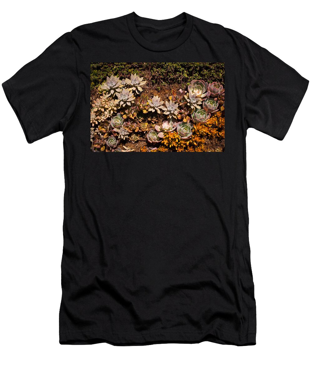 Garden T-Shirt featuring the photograph Succulents Vertical Garden by Catherine Lau