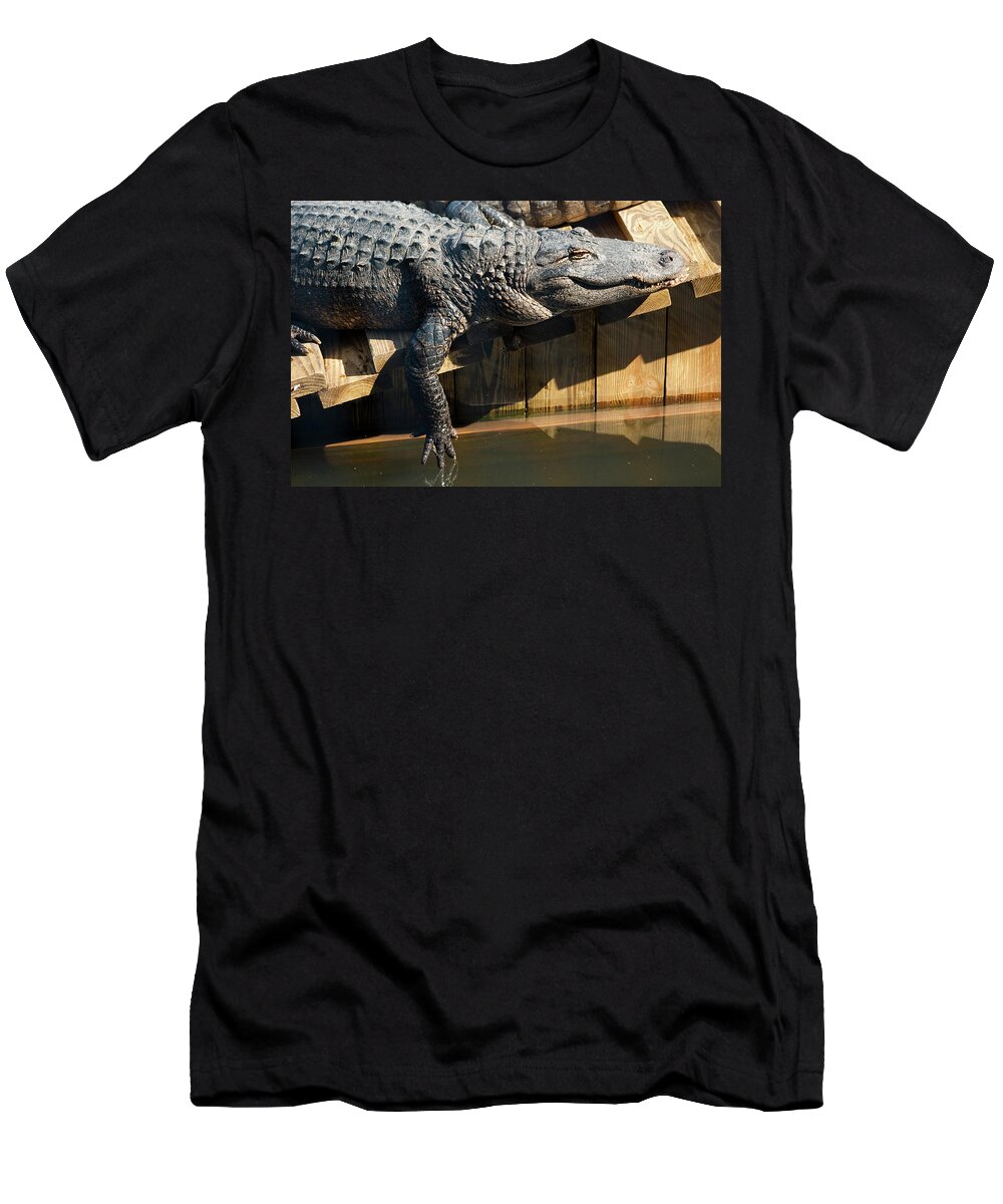 Alligator T-Shirt featuring the photograph Sunbathing Gator by Carolyn Marshall