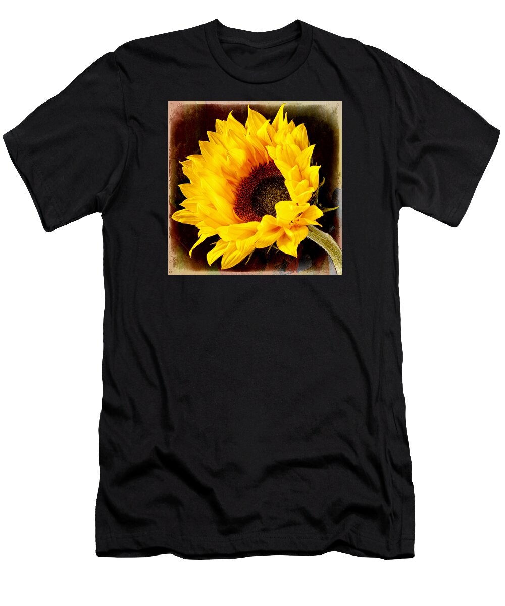 Sunflower T-Shirt featuring the photograph Sunflower on painted background. by John Paul Cullen