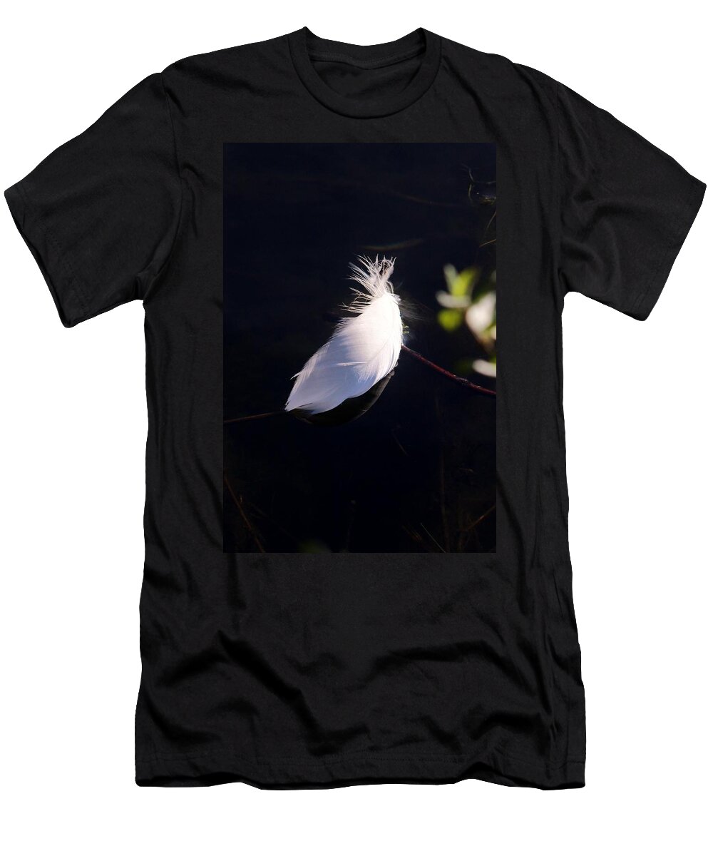 Karen Silvestri T-Shirt featuring the photograph Sunlit Feather by Karen Silvestri