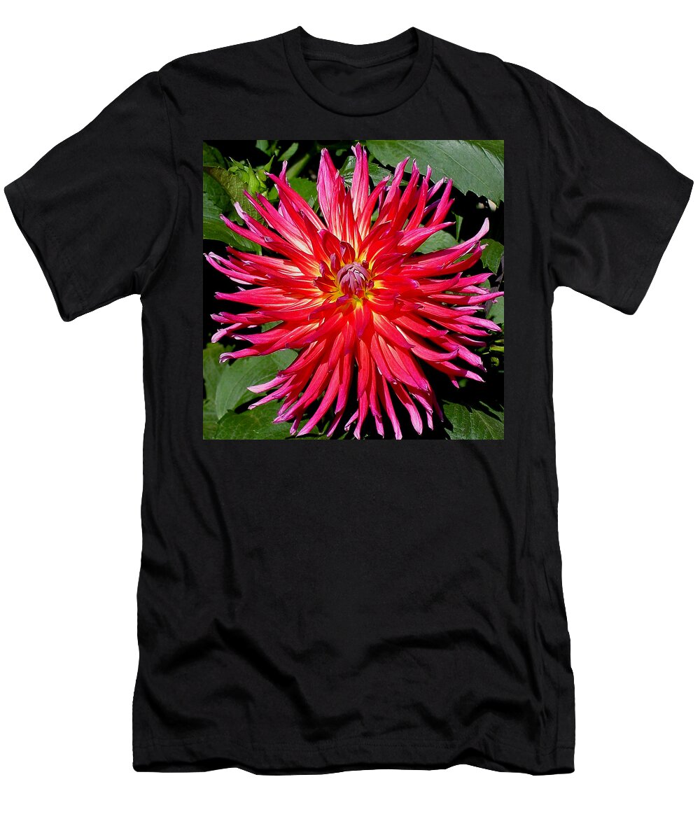 Pink T-Shirt featuring the photograph Sunny Dahlia by Shirley Heyn