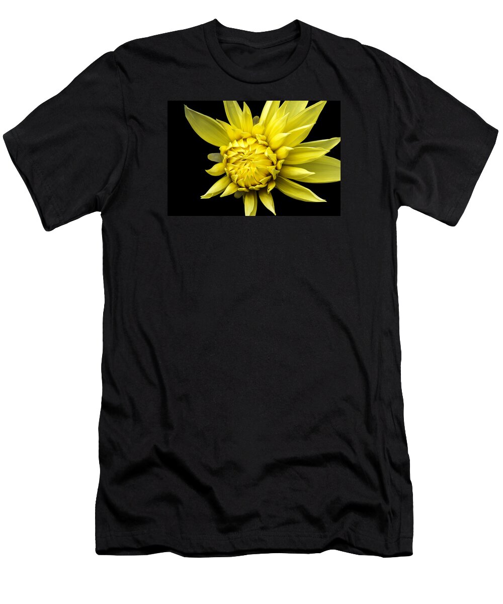 Yellow Flower T-Shirt featuring the photograph Sunny Prince by Marina Kojukhova