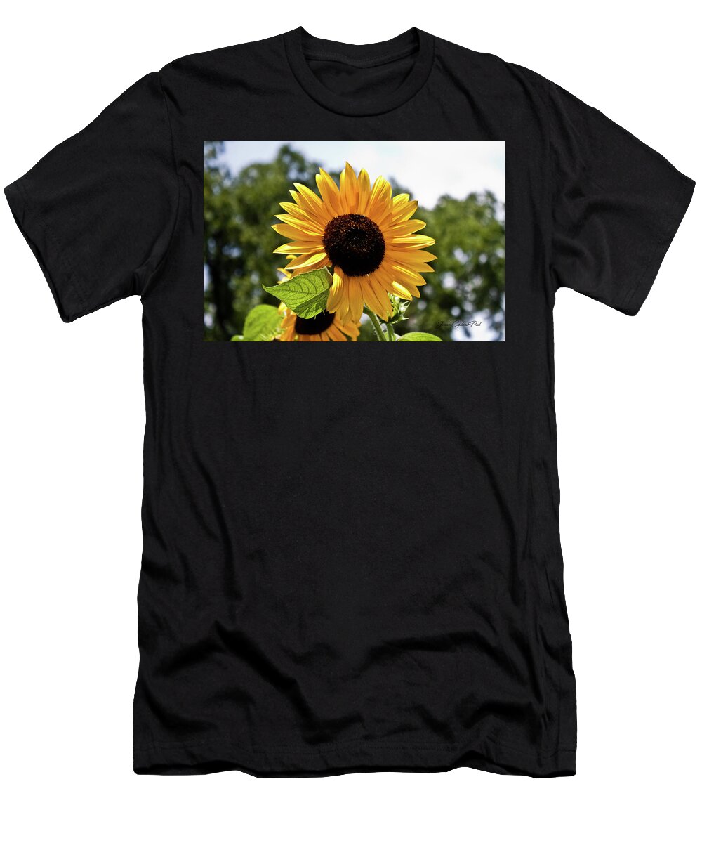 Yellow T-Shirt featuring the photograph Sunny Sunflower by Joann Copeland-Paul