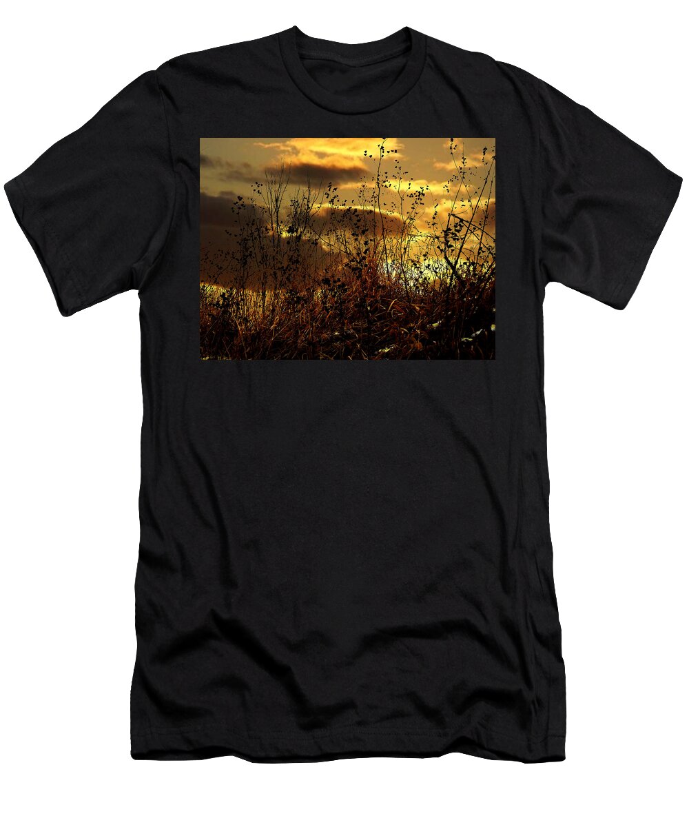 Grass T-Shirt featuring the photograph Sunset Grasses by Julie Hamilton