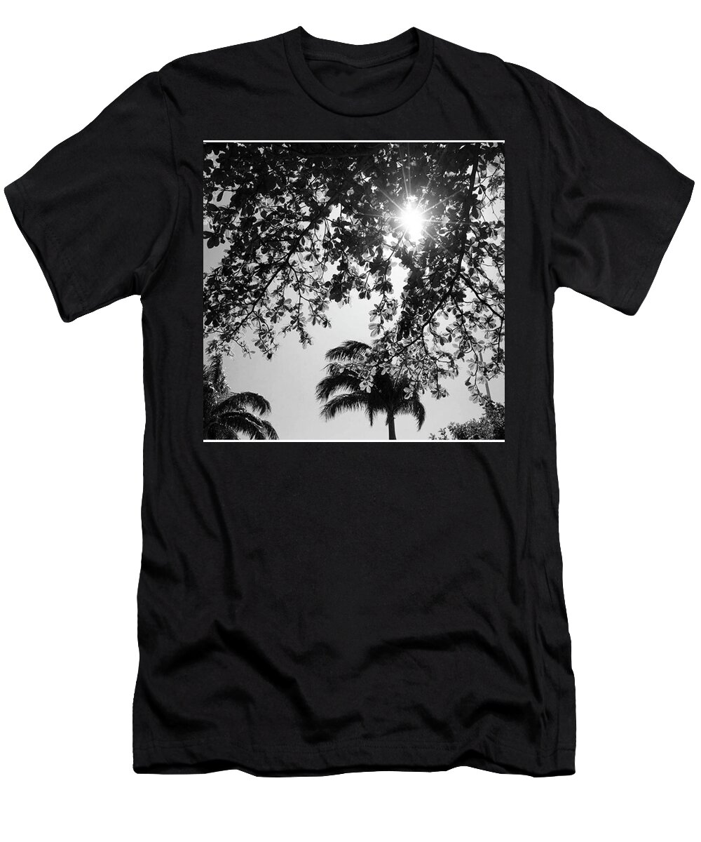  T-Shirt featuring the photograph Sunshine In Australia by Aleck Cartwright