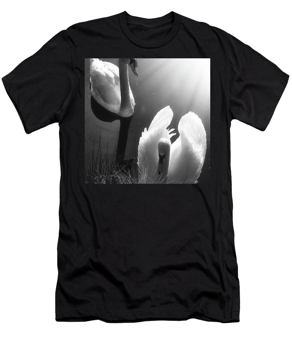 Swan T-Shirt featuring the photograph Swan Lake In Winter - Kingsbury Nature by John Edwards