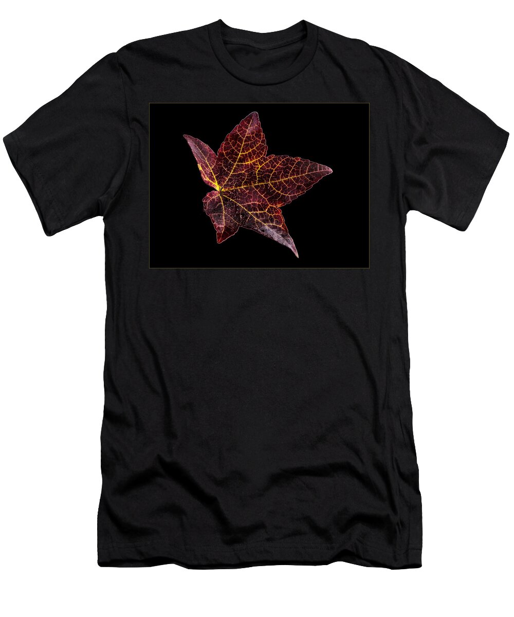 Jean Noren T-Shirt featuring the photograph Sweet Gum Leaf on Black by Jean Noren by Jean Noren